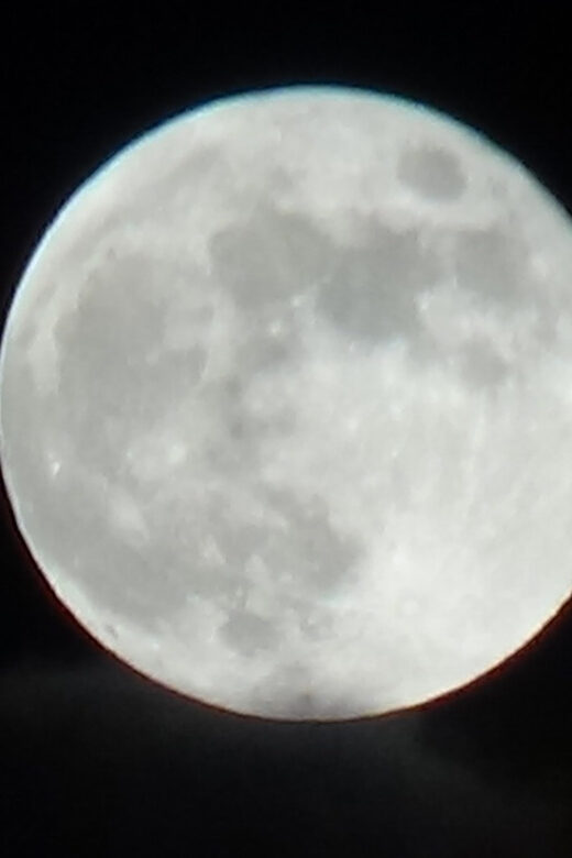 The Original Ghost of Williamsburg Candlelight Walking Tour - Who Will Enjoy This Tour?