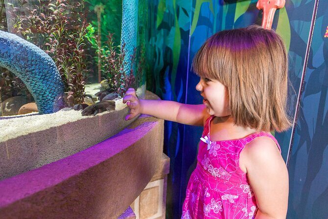 The Orlando Eye - The Location and Setting