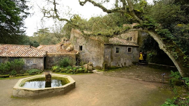 The Other Side of Sintra - Forgotten Woods Tour - A Different Take on Sintra: The Forgotten Woods Tour