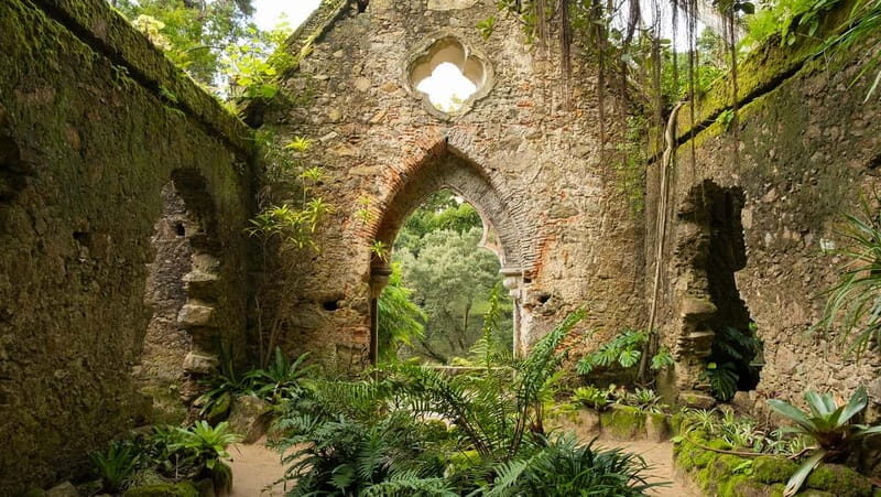 The Other Side of Sintra - Forgotten Woods Tour - The Sum Up: Is This the Sintra Tour for You?