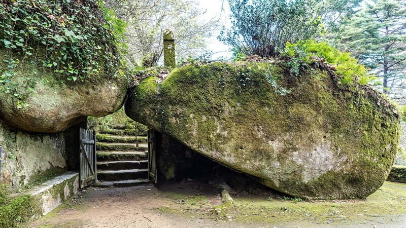 The Other Side of Sintra - Forgotten Woods Tour - Frequently Asked Questions (FAQ)