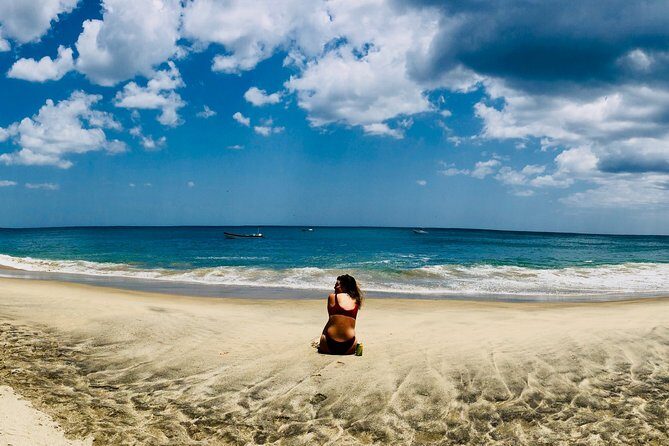 The Pacific Coast: Trails & Shores Private Tour - A Deep Dive Into the Experience