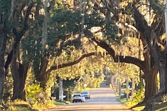 The Palmetto Pioneers: A Self-Guided Monticello Walking Tour - FAQs