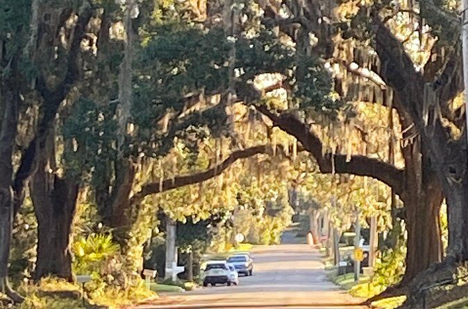 The Palmetto Pioneers: A Self-Guided Monticello Walking Tour - Final Thoughts