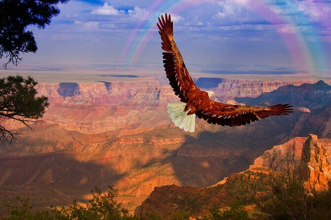 The Perfect Grand Canyon Tour with Local Expert Guides - FAQs