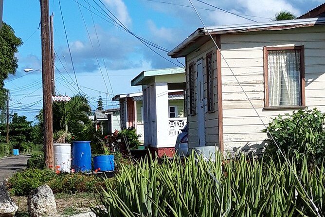 The Real Barbados 6 hour Island Tour - The Sum Up: Who Is This Tour For?