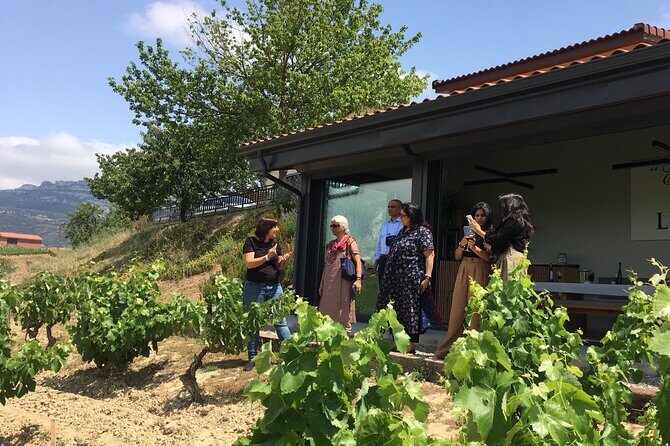 The Real Rioja Explore Tour - Private experience - An In-Depth Look at the Rioja Experience