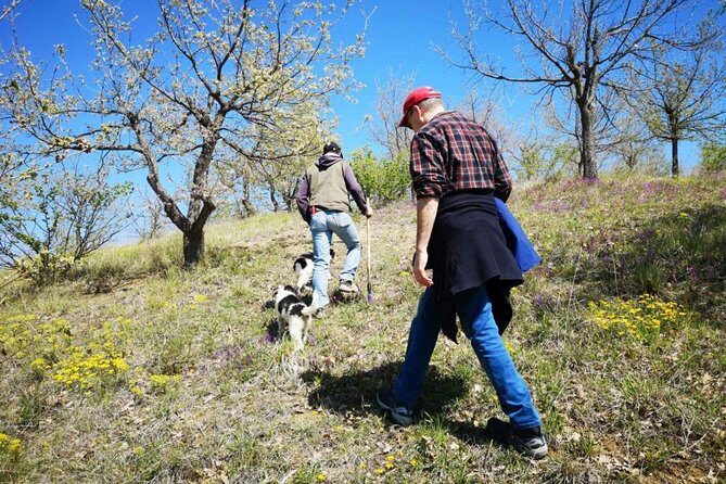 The Real Truffle Hunting in Abruzzo - Final Thoughts