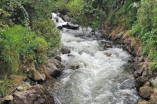 The rejuvenating thermal springs of Papallacta - Key Points