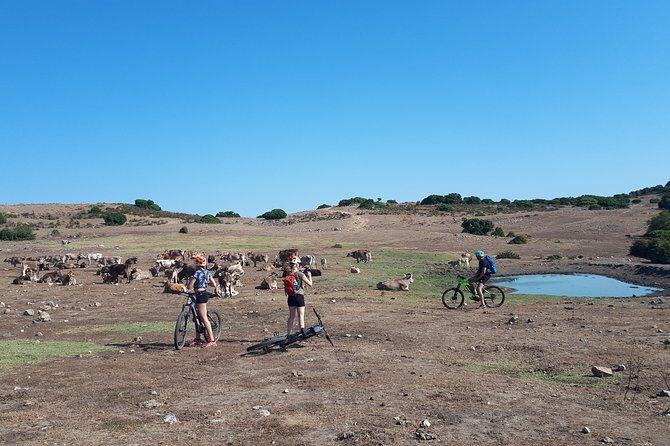 The ring of Mountain Tuttavista with Electric Mountain Bikes - Who Would Enjoy This Tour?