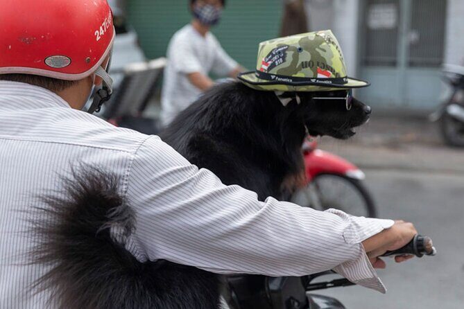 The River's Edge Photo Tour - A Practical Guide to The River’s Edge Photo Tour in Ho Chi Minh City