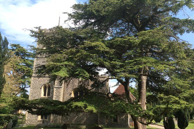 The Roman City of St Albans Private Tour - The Experience in Action: Authenticity, Value, and Focus