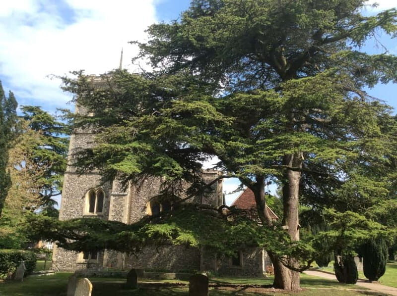 The Roman City of St. Albans Tour - Final Thoughts