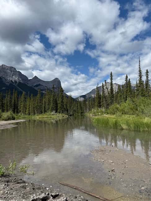 The Sacred Mountains Of Banff And Canmore Walking Tour - The Ecology and Wildlife: A Hidden Treasure