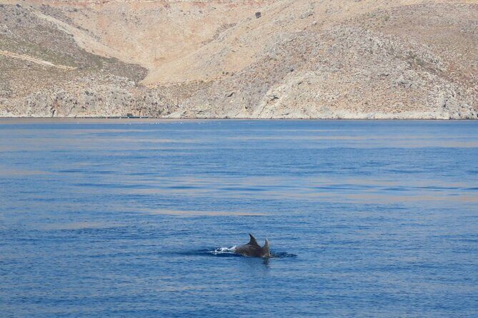 The Santa Maria Full-Day Island Cruise in Aegean Sea - What’s Included and What’s Not