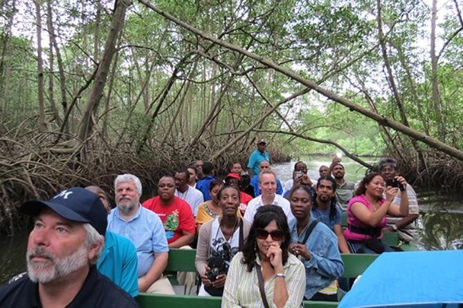 The Scarlet Ibis - Caroni Swamp Tour - Key Points