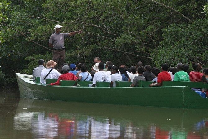 The Scarlet Ibis - Caroni Swamp Tour - Comprehensive Review of the Scarlet Ibis - Caroni Swamp Tour