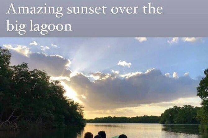 The Scarlet Ibis - Caroni Swamp Tour - FAQ