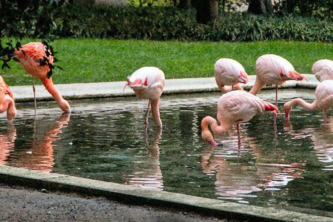 The Secret Milan  An Exclusive Stroll Beyond the Beaten Path - The Benefits of a Guided Experience