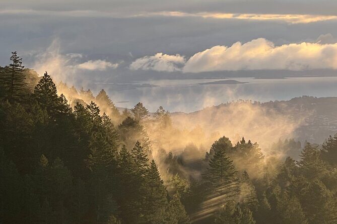 The Secrets of Sacred, Sexy Salmon, Spawning NOW - Key Points