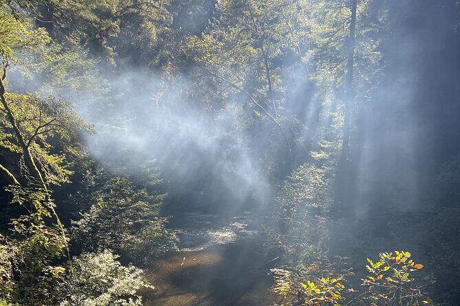 The Secrets of Sacred, Sexy Salmon, Spawning NOW - Final Thoughts