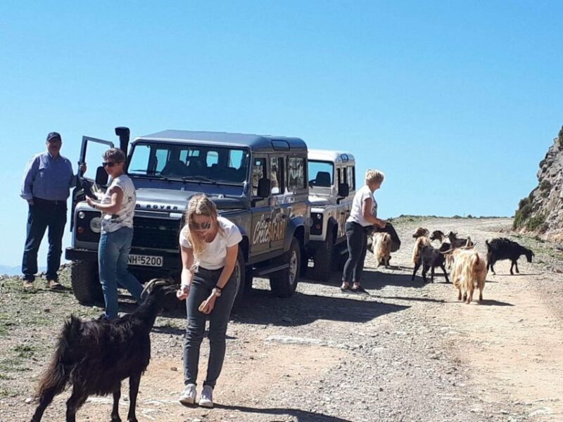 The Secrets Of The Southern Crete Safari tour - Key Points
