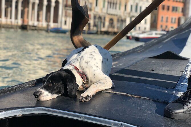 The Secrets of Venice - Who Will Love This Tour?