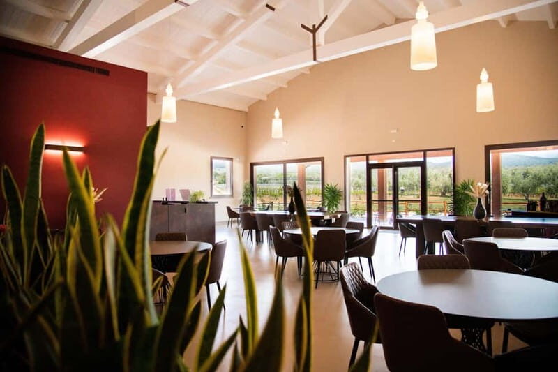 The Selections: visit and tasting in the Bolgheri Doc region - Key Points
