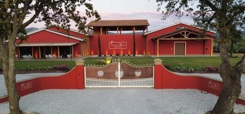 The Selections: visit and tasting in the Bolgheri Doc region - Who Should Consider This Tour?