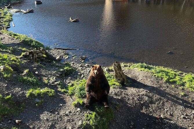 The Sikta Scenic Photography Tour | SITKA SIGHTSEEING - An Authentic Photo Journey in Sitka: The Sikta Scenic Photography Tour