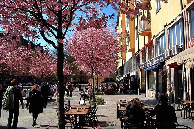 The Södermalm Tour in Stockholm - Why You Might Want to Book