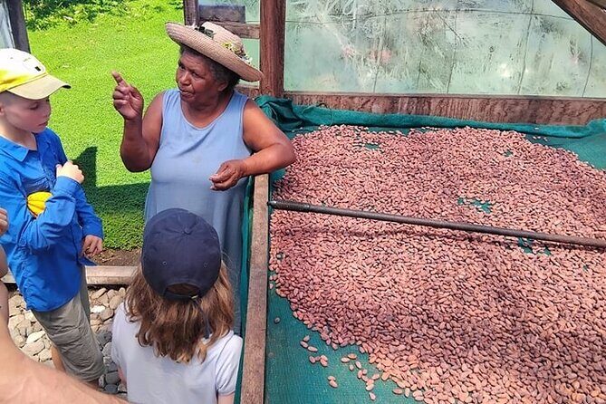 The Solomon Chocolate trail - Key Points