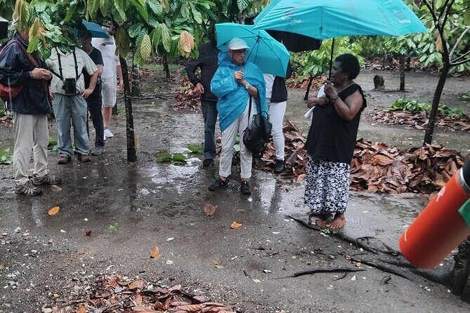 The Solomon Chocolate trail - Exploring the Solomon Chocolate Trail: A Deep Dive