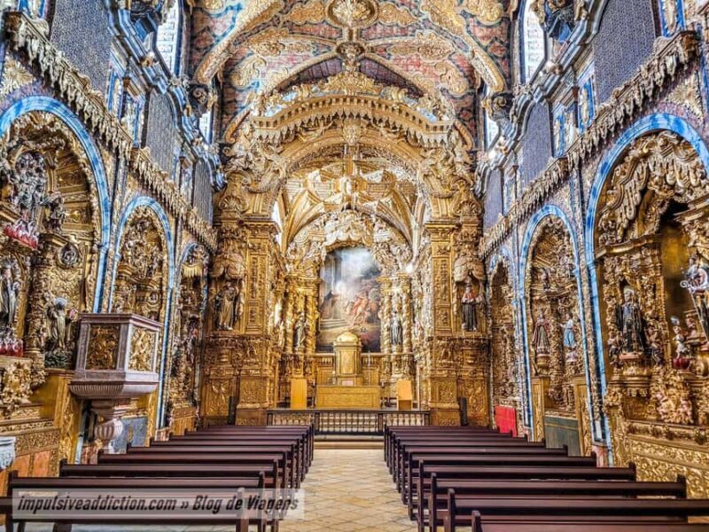 The Soul of Porto: Walking Tour with Food and Wine Tasting - Exploring Porto’s Soul: A Guided Walking Tour with Food & Wine