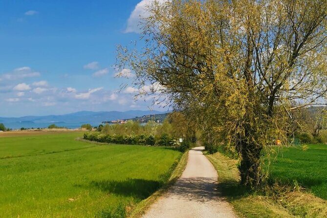 The spell of Lake Trasimeno - Trekking Tour - Why This Tour Offers Great Value