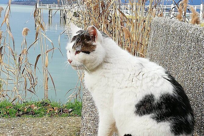 The spell of Lake Trasimeno - Trekking Tour - Final Thoughts