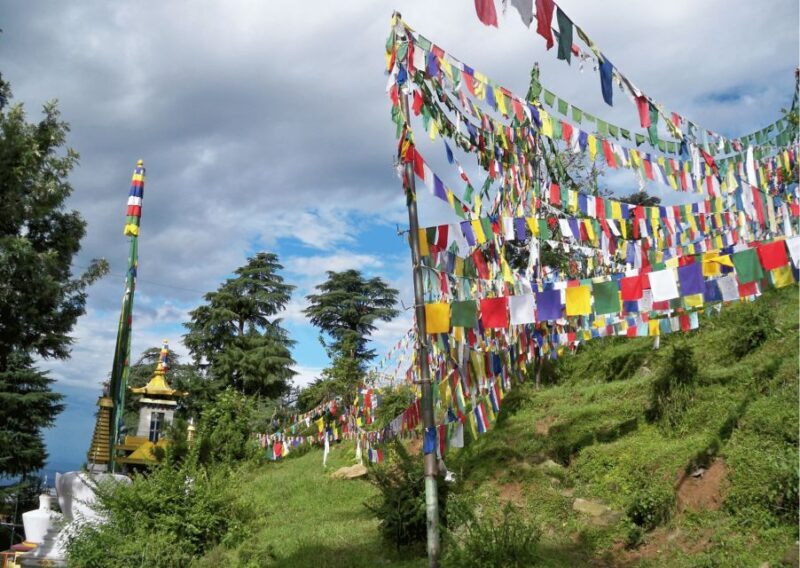 The Spiritual Trails of Dharamshala(Guided Walking Tour) - What You’ll Experience and Learn