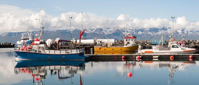 The Story of Fire Saga Eurovision: Netflix Húsavík Walking Tour - Discover the Charm of Húsavík with the Eurovision: Netflix Walking Tour