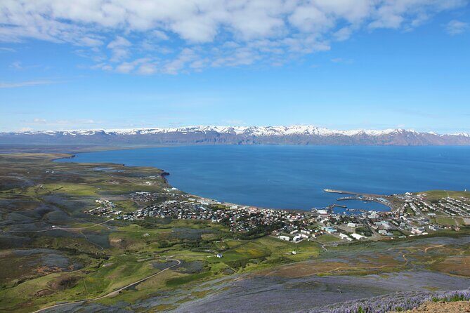 The Story of Fire Saga Eurovision: Netflix Húsavík Walking Tour - A Practical Look at the Eurovision Húsavík Walking Tour