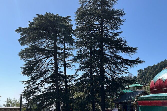 The Story Of Himalayas - A Journey from Amritsar to Dharamshala - The Practicalities & Value