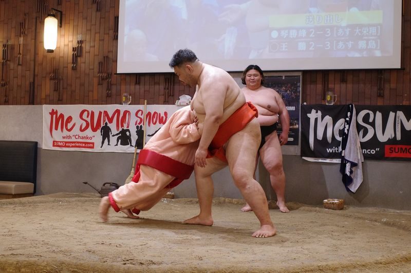 The SUMO Show in Tokyo - The two-hour rhythm: explanations, demonstrations, and a challenge