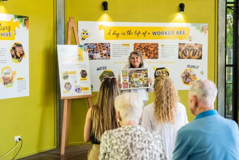The Sunshine Coast: The Ginger Factory Play Taste & Discover - A Closer Look at The Ginger Factory Experience