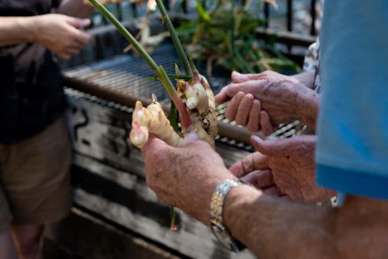 The Sunshine Coast: The Ginger Factory Tour & Tasting - The Sum Up