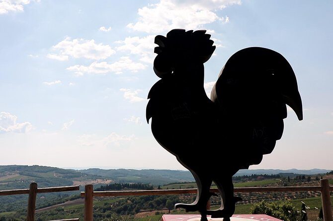 The Taste of Chianti:a Wine and Gourmet Private Tour with a truffle-based lunch - Key Points