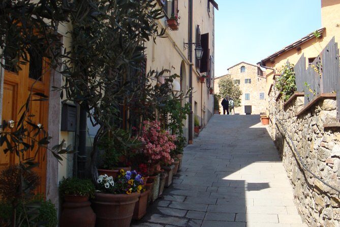 The Taste of Chianti:a Wine and Gourmet Private Tour with a truffle-based lunch - Who Should Consider This Tour?