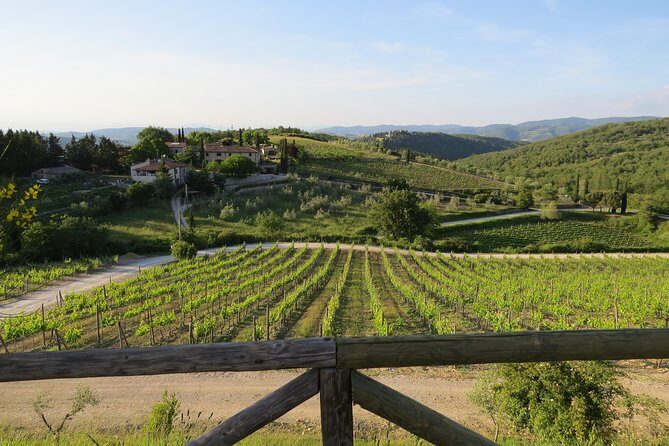 The Taste of Chianti:a Wine and Gourmet Private Tour with a truffle-based lunch - The Sum Up