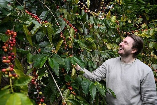 The Tastes of Tamborine Mountain - An In-Depth Look at the Tour Experience