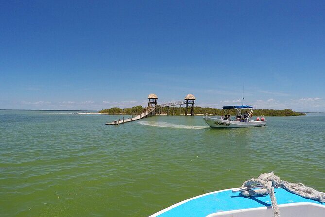 The Three Islands Tour Explore Holbox's Natural Wonders - Key Points