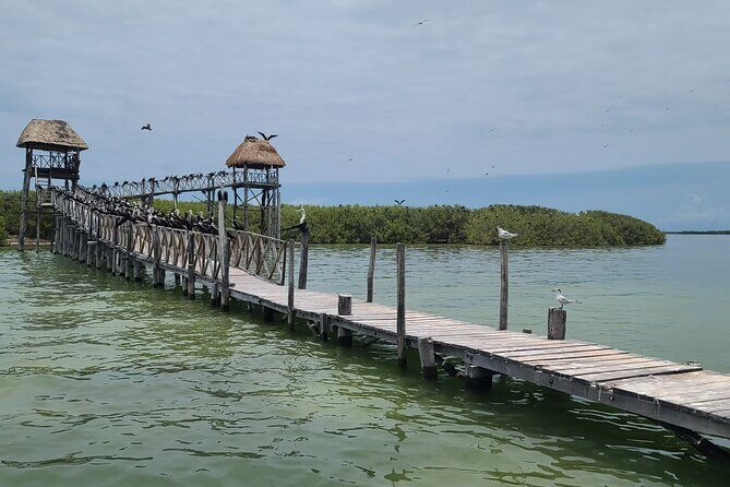 The Three Islands Tour Explore Holbox's Natural Wonders - Who Will Love This Tour?