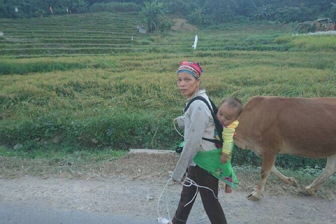 The Top Ha Giang Motorbike Tours All-Inclusive - Final Thoughts: Is This Tour Worth It?